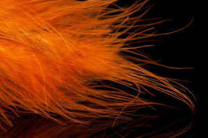 A. Jensen Blood Quill Marabou - orange